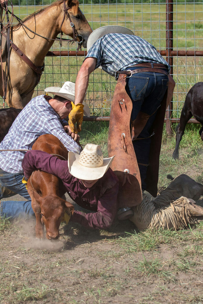 vaquero-gal-1