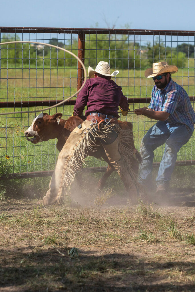vaquero-gal-2